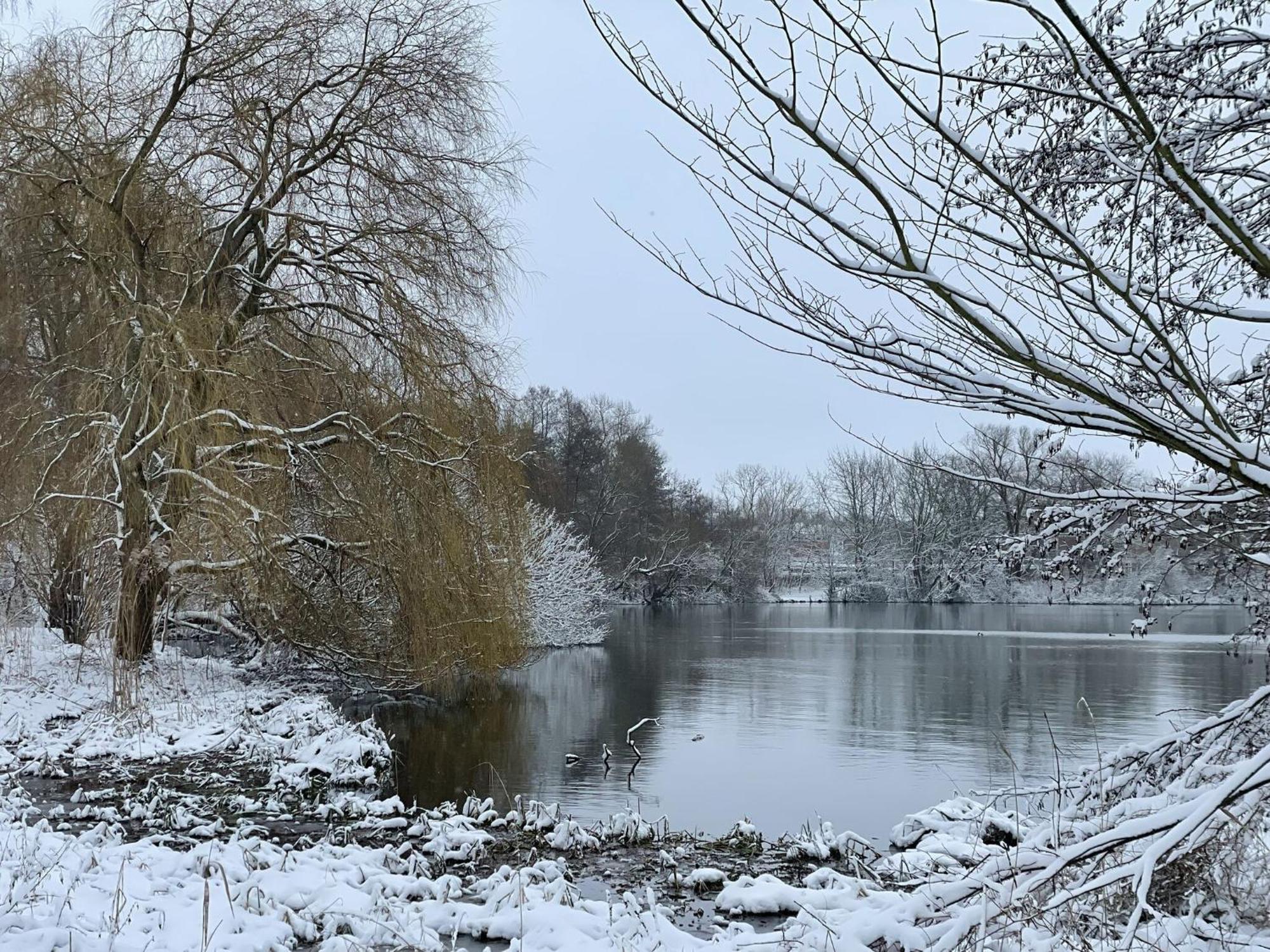 Flat In Eutin On The Kleiner Eutiner See Lake Exteriör bild