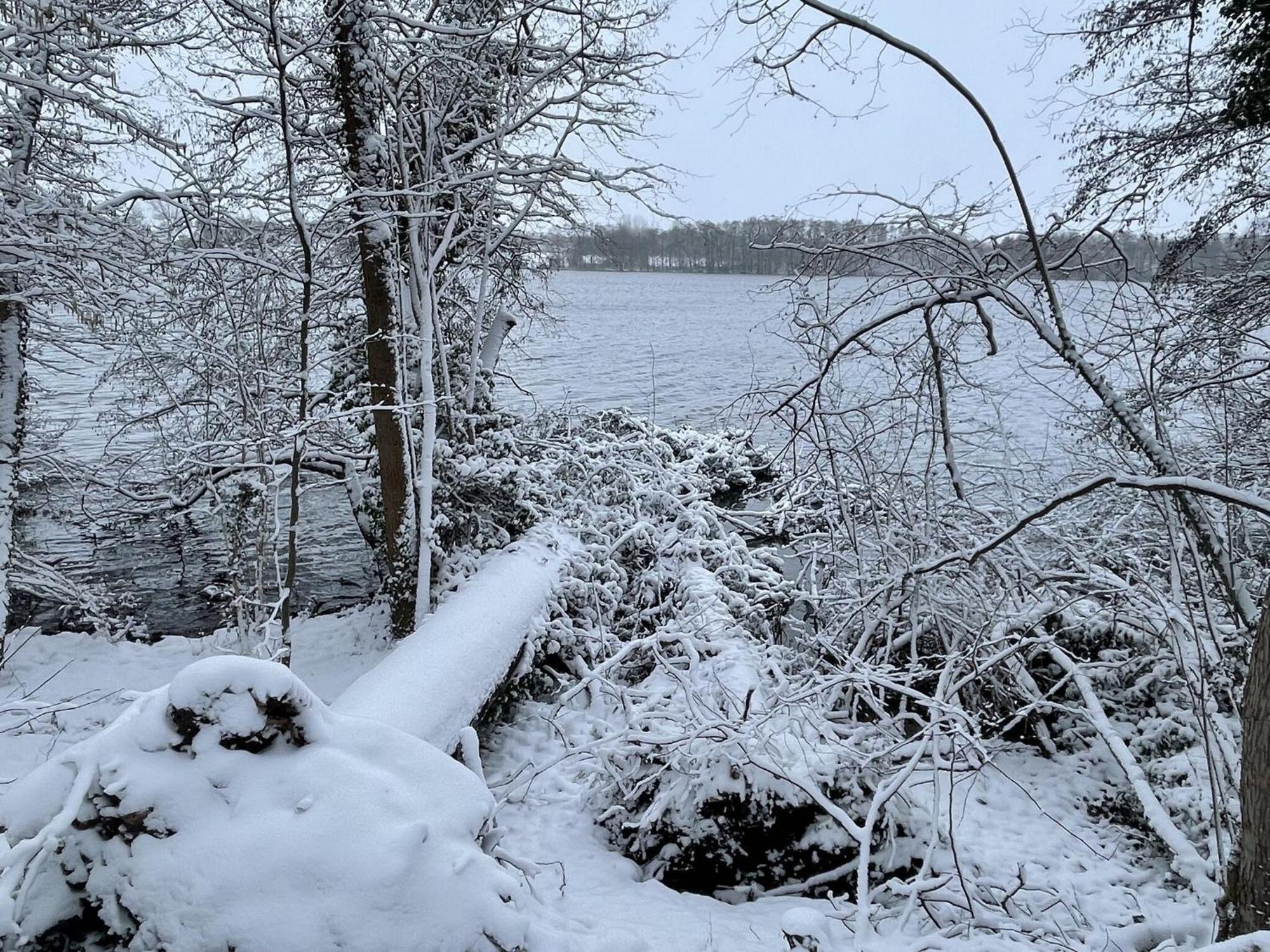 Flat In Eutin On The Kleiner Eutiner See Lake Exteriör bild