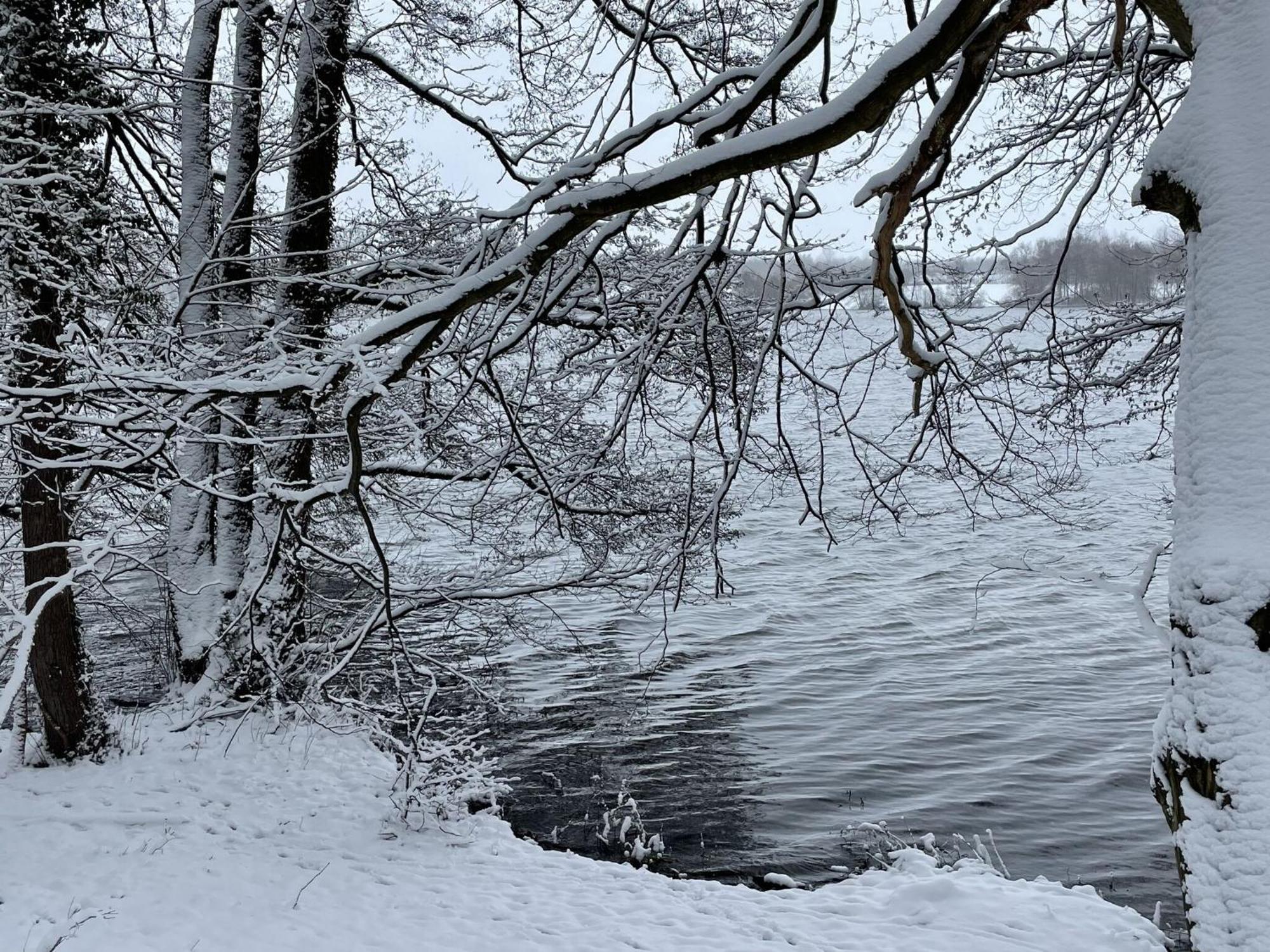 Flat In Eutin On The Kleiner Eutiner See Lake Exteriör bild