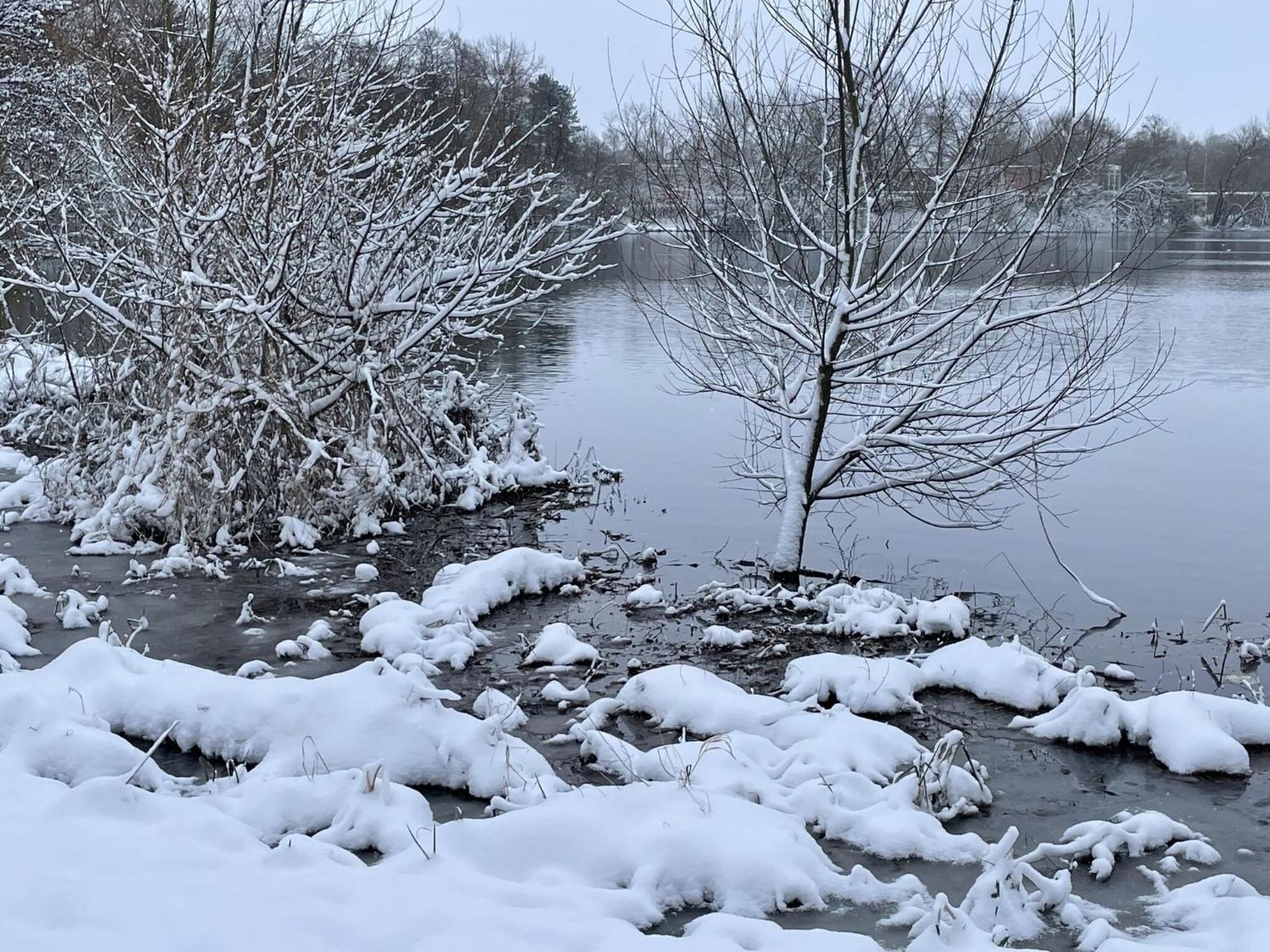 Flat In Eutin On The Kleiner Eutiner See Lake Exteriör bild