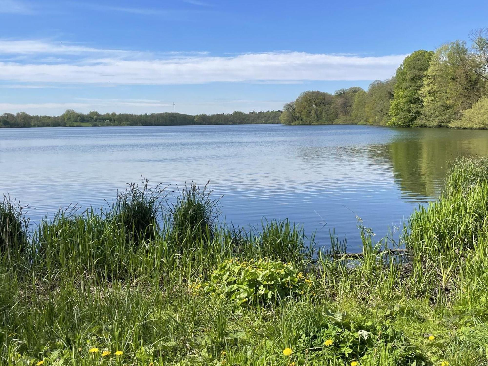 Flat In Eutin On The Kleiner Eutiner See Lake Exteriör bild